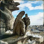 Gargouille Notre-Dame de Paris